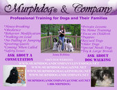 Murphdog(R) & Company Dog Training