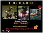 Dawn's Dog Boarding